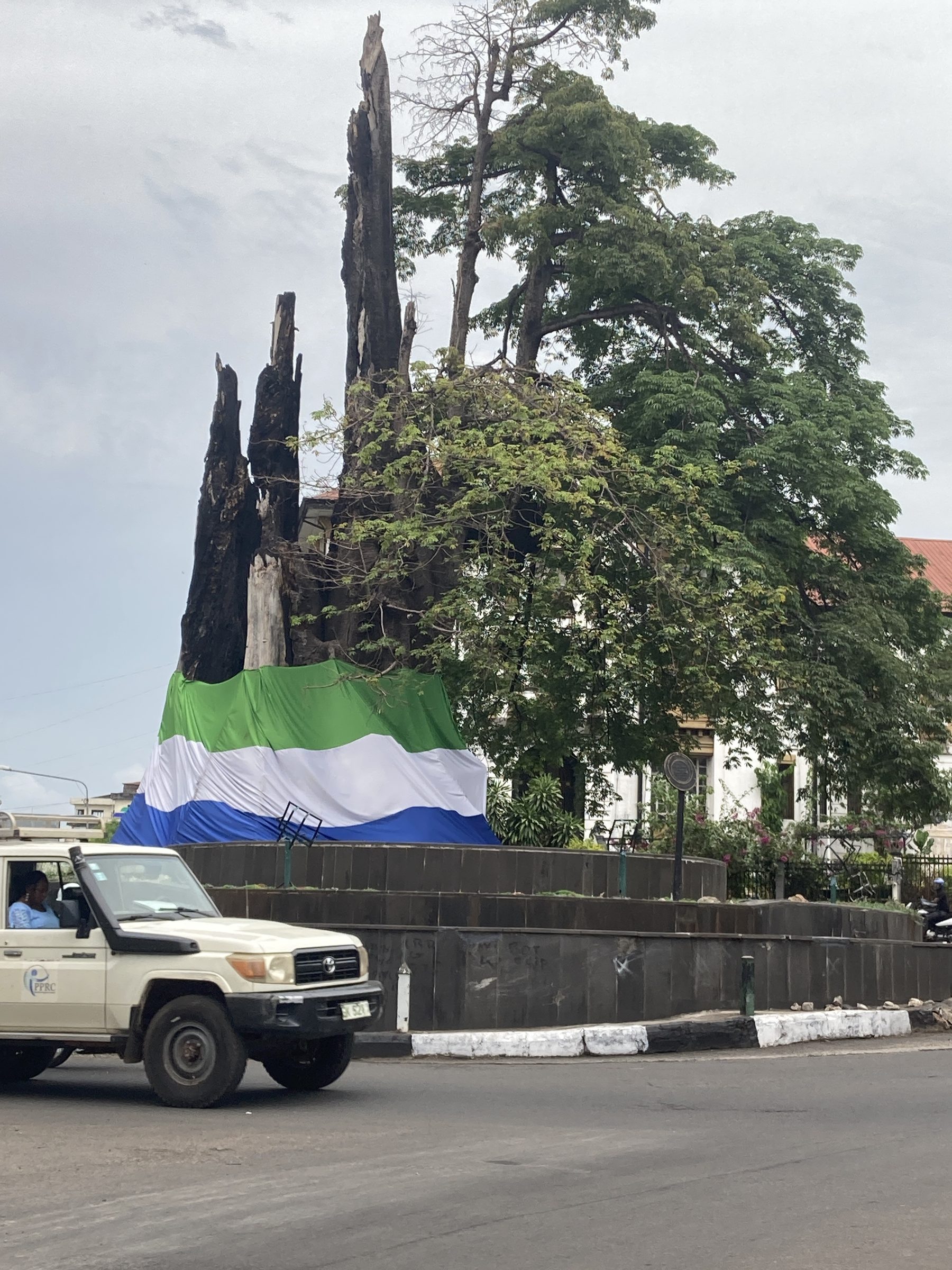 The historic Cotton Tree in Freetown, wrapped in the Sierra Leone flag