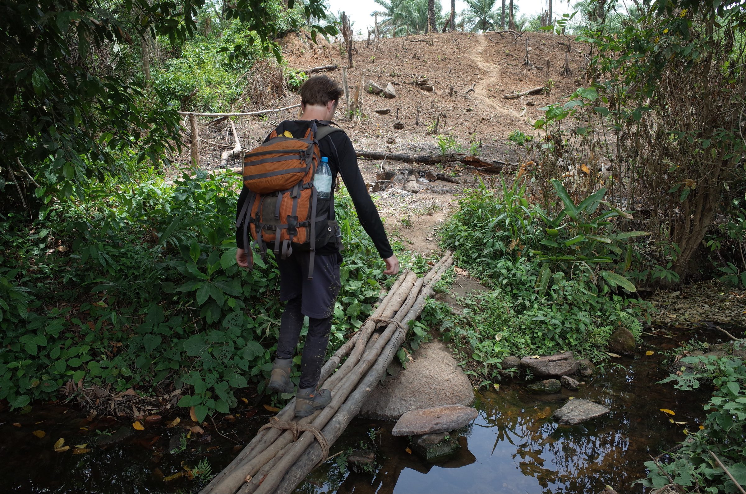 A walker on a forest trail in the Loma Mountains No Hunting Forest Reserve